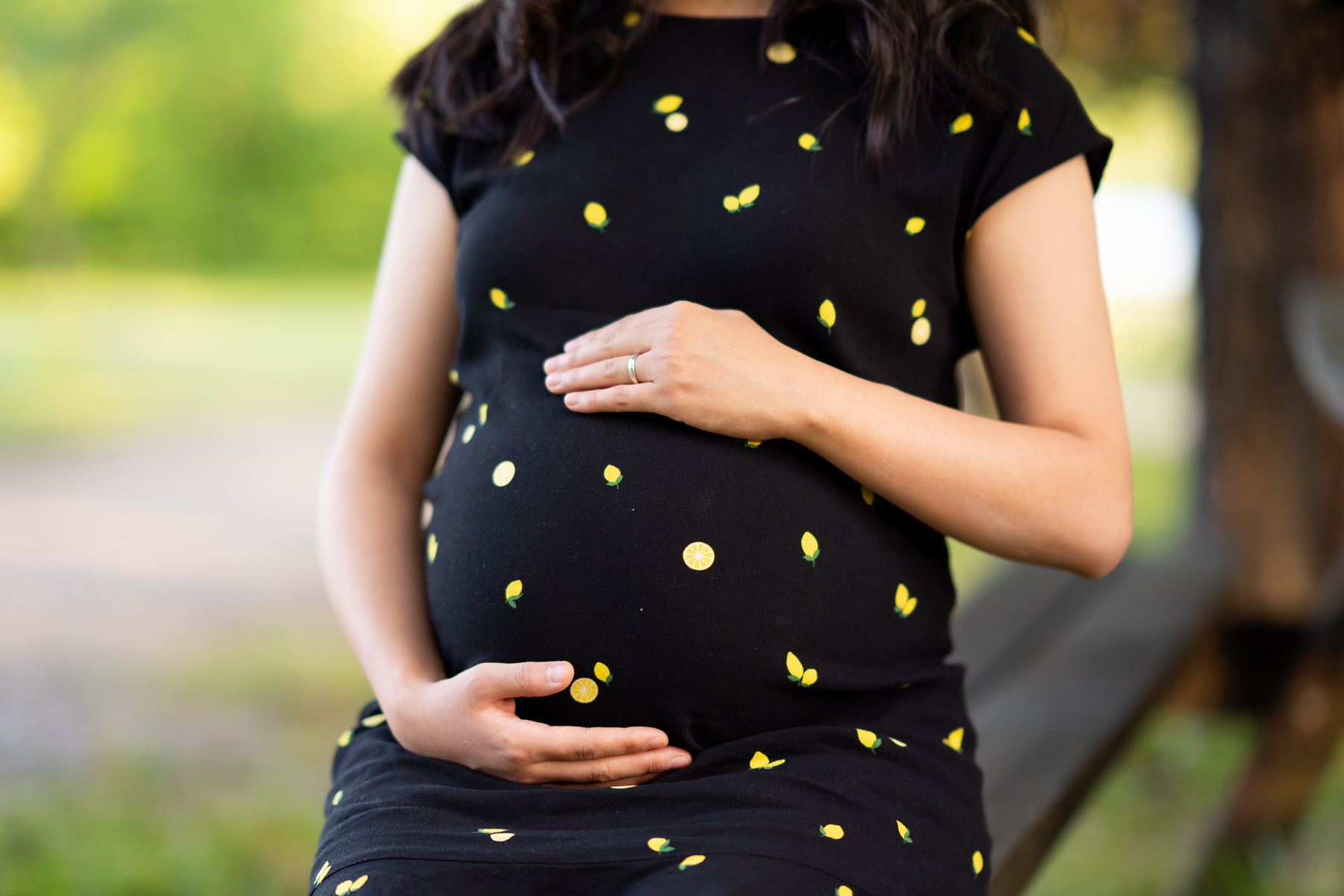Pinchot State Park Maternity and Engagement Photography